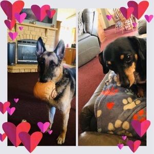 Meet your Posher, Patricia